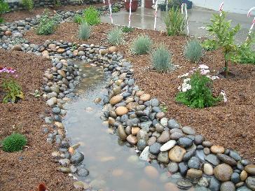 Functional Dry Creek Bed Coastal Garden Pictures and Photos