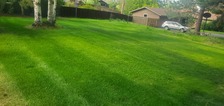 Avatar for Cruz Garcia's Landscaping
