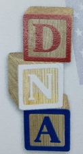 Avatar for DNA Construction, LLC