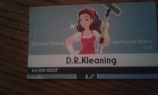 D.R. Kleaning logo