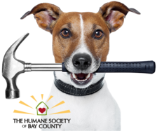 Avatar for Thrifty Handyman Services