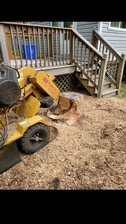 Avatar for Bear Stump Removal, LLC