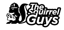 The Squirrel Guys logo