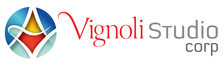 Logo for VSC