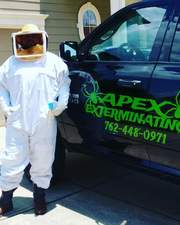Apex Exterminating logo