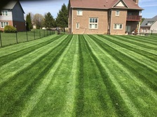 Logo for Affordable Lawn Care