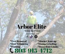 Avatar for Arbor Elite Tree Service
