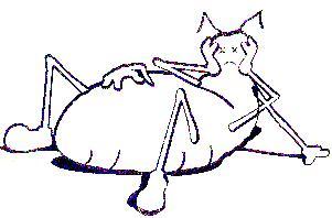 Joseph & Sons Termite and Pest Control, Inc. logo