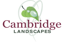 Avatar for Cambridge Landscapes