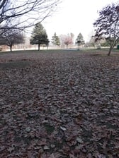 Avatar for Law's Lawn Care And Property Maintanance, LLC