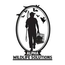 Avatar for Alpha Wildlife Solutions, LLC