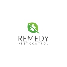 Avatar for Remedy Pest Control