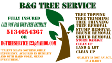 Logo for B&G Tree Service, LLC