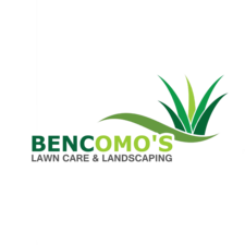 Avatar for Bencomo's Lawn Care