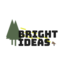Bright Ideas of Illinois logo