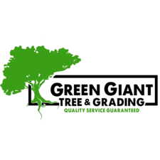 Logo for Green Giant
