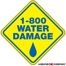 Avatar for 1-800 Water Damage of Western Montana