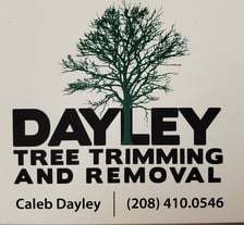 Logo for Dayley Tree Trimming & Removal