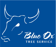 Logo for Blue Ox Tree Service Nebraska - Home Facebook
