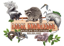 Avatar for Local Knowledge Wildlife Solutions