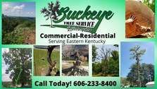 Avatar for Buckeye Tree Service and Landscaping, LLC