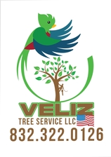 Avatar for Veliz Tree Service