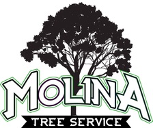 Logo for Molina Tree Service