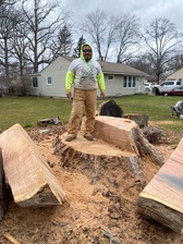 Logo for Bernardo's Tree Service