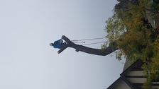Avatar for JV Tree Service and Landscaping