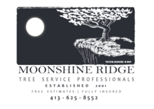 Avatar for Moonshine Ridge Tree Service Professionals