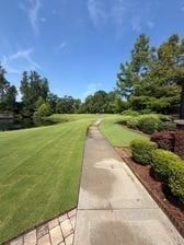 Avatar for LTD Landscaping, LLC