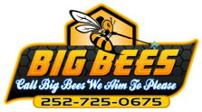 Avatar for Big Bees Pressure Washing
