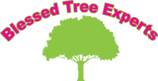 Logo for Blessed Tree Experts