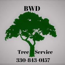 Avatar for BWD Tree Service