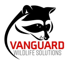 Vanguard Wildlife Solutions logo