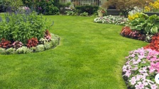 Better Lawns and Gardens logo