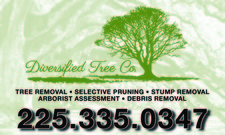 Diversified Tree Company logo