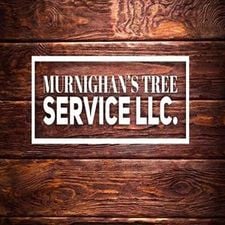 Avatar for Murnighans Tree Service