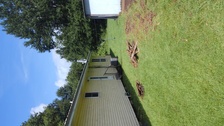 Avatar for Danny's Pressure Washing LLC