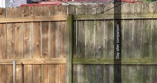 Avatar for Mr. Concrete & Backyard