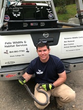 Logo for Felix Wildlife & Habitat Services