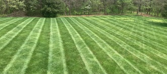 Triad Turf and Landscapes logo