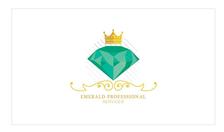 Logo for Emerald Professional Services