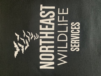 Northeast Wildlife Services logo