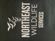 Avatar for Northeast Wildlife Services