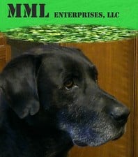 Avatar for MML Enterprises, LLC
