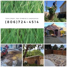 Avatar for Texas Green Tree trimming, tree removal and landscaping - Home Facebook
