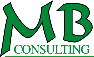 Blomenkamp Consulting logo