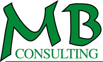 Blomenkamp Consulting logo