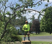 Red Saw Tree Service logo